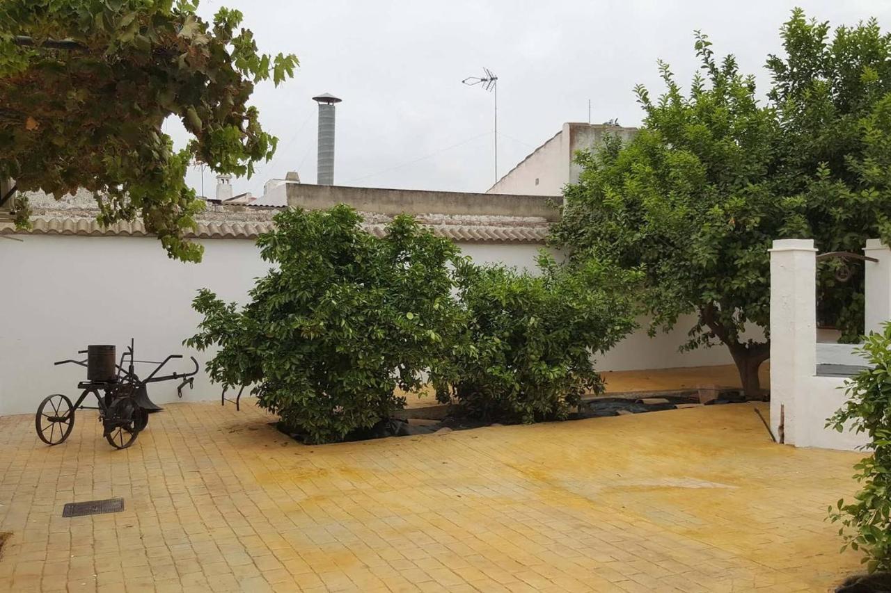 Gran Con Patio En Encinarejo De Cordoba